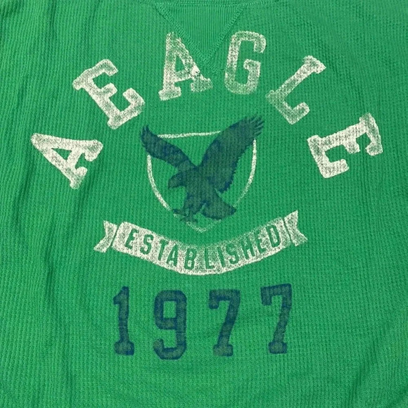 American Eagle Outfitters Vintage Ribbed Green Pullover Logo Front Crewneck S - Picture 2 of 7